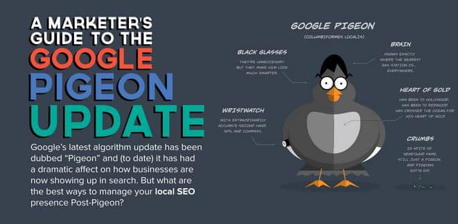 infographie-google-pigeon-top