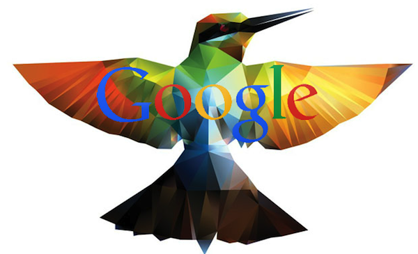 google-hummingbird-colibri
