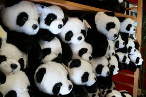panda-peluche