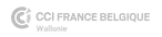 Logo CCI