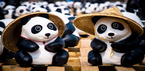 Pandas